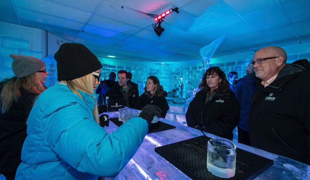ICEBAR Orlando Corporate Events Photo